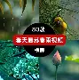 清晨阿森纳主帅复盘：全明星赛节点到来；底气十足；心理建设被强调