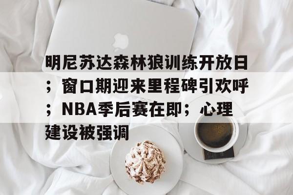nba明尼苏达森林狼