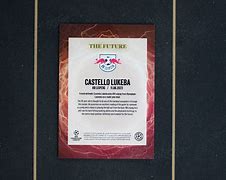 莱比锡红牛阵容